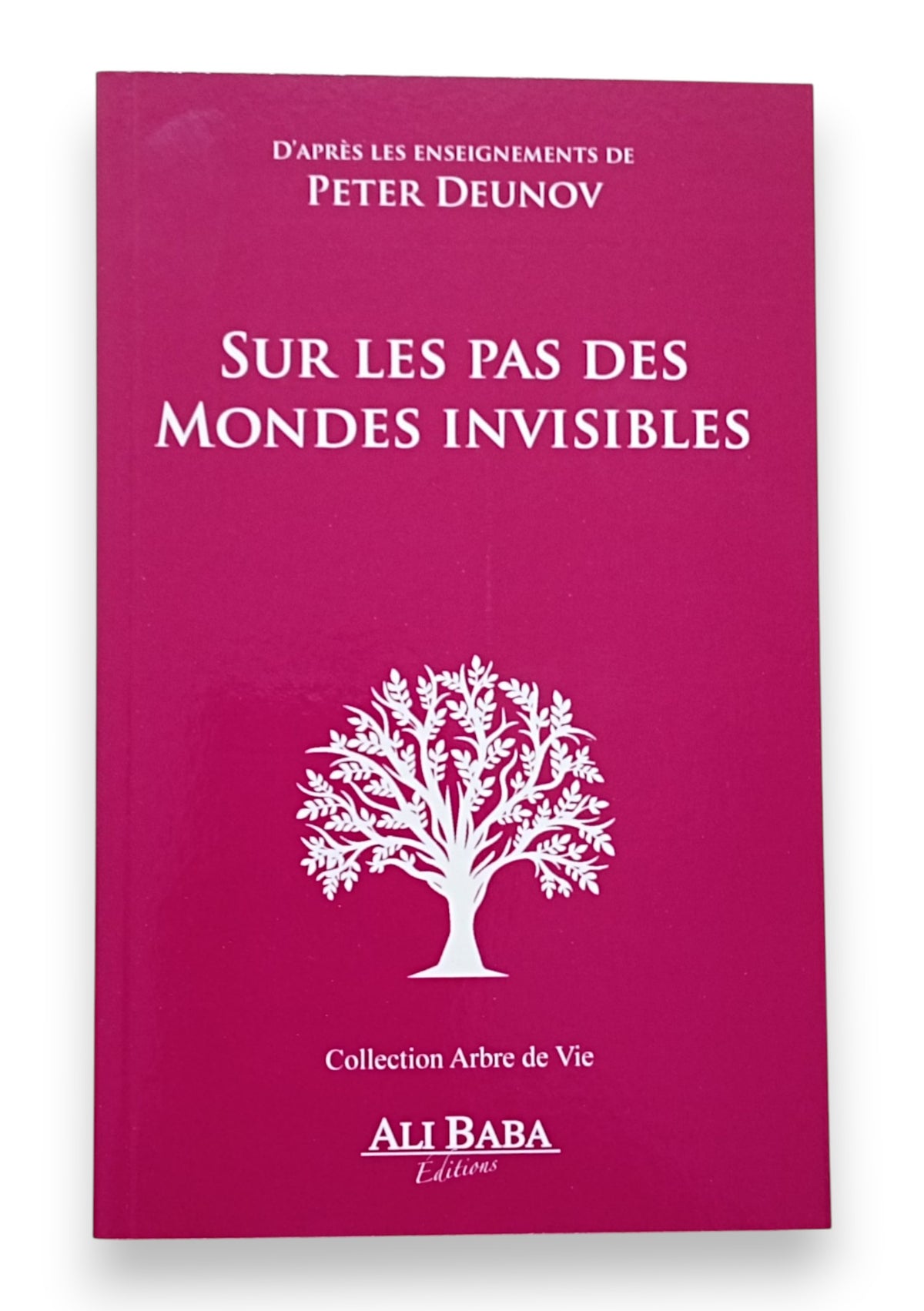 Sur les Pas des Mondes Invisibles