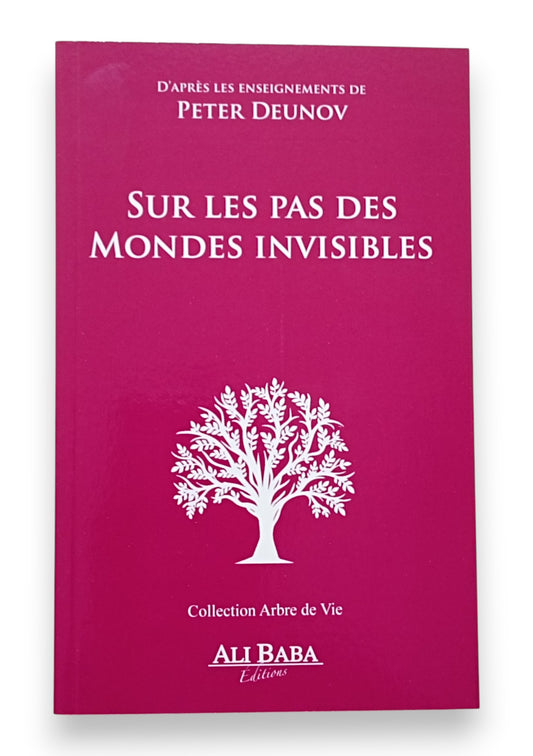 Sur les Pas des Mondes Invisibles