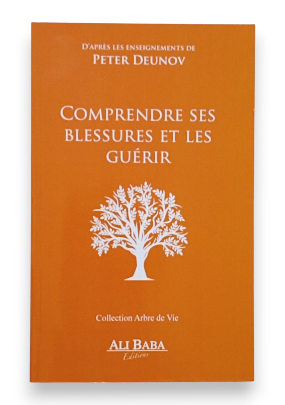 Comprendre ses Blessures et les Guérir