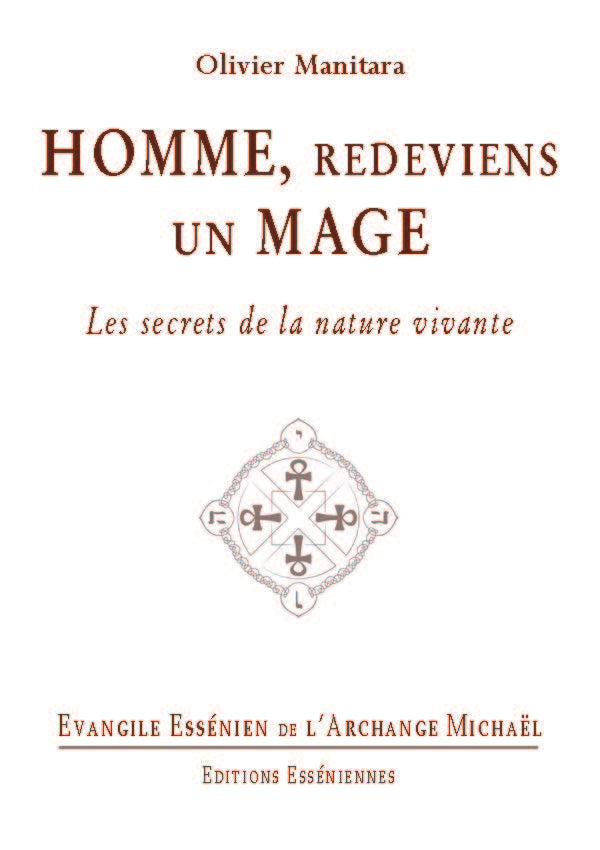 Les Tomes de la Bible