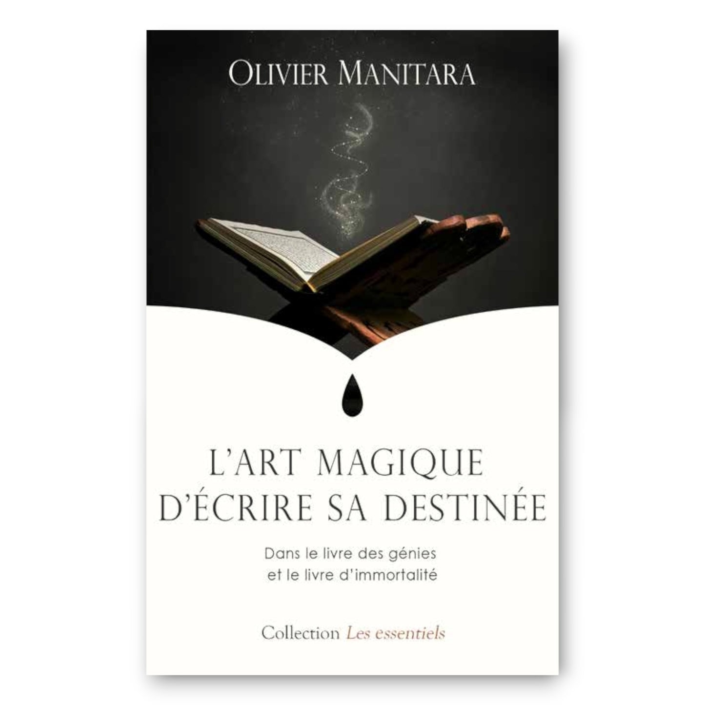 L'art magique d'écrire sa destinée